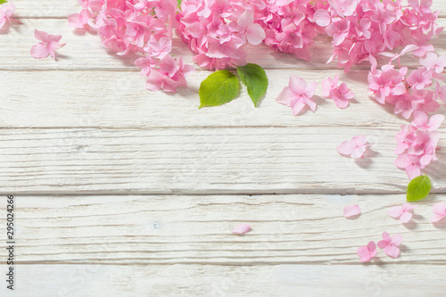 Fototapeta Naklejka Na Ścianę i Meble -  pink hydrangea on white wooden background