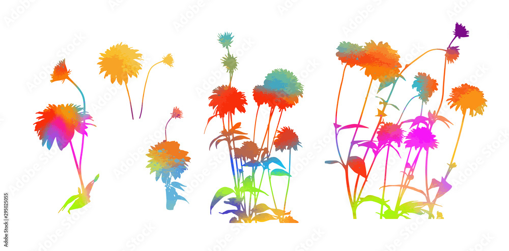 Set of multicolored flower heads. Vector illustration
