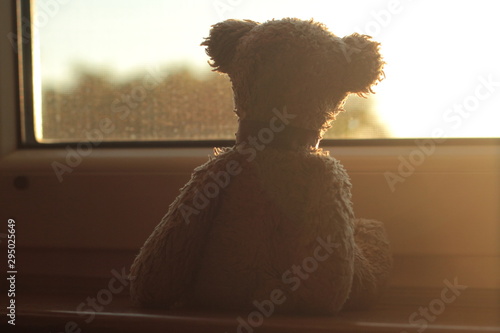 Obraz na płótnie Teddy bear sitting on a window sill looking through the window during the golden hour. w salonie