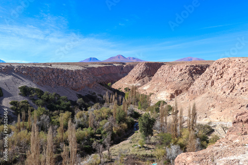 Northern Chile - San Pedro de Atacama and surrounding area - Quebrdada de Jerez - natural oasis in the middle of the desert - green trees, red rock landscape, blue skies and sand