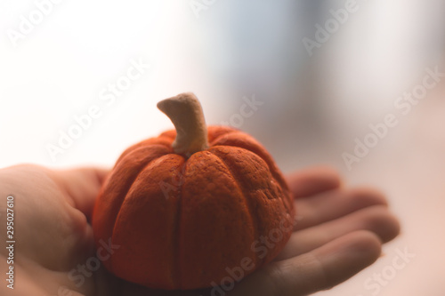 Hand carefully holding a small pumpkin
