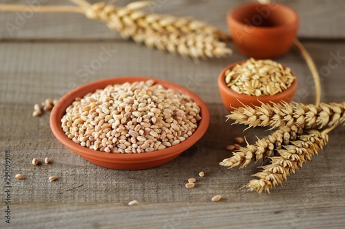 Wheat grain in dishes on the table.grains and wheat ears on a wooden table, top view