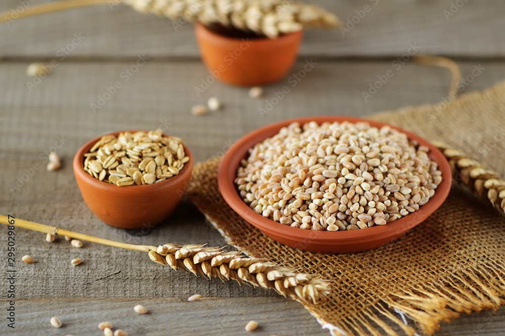 Wheat grain in dishes on the table.grains and wheat ears on a wooden table, top view Wheat grain in dishes on the table.grains and wheat ears on a wooden table, top view