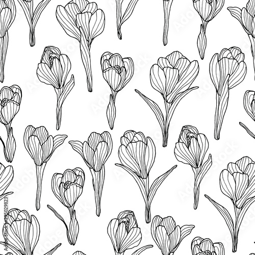 Crocus pattern4
