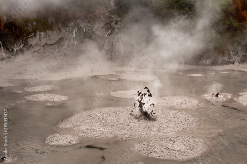 Wai-O-Tapu Thermal Park