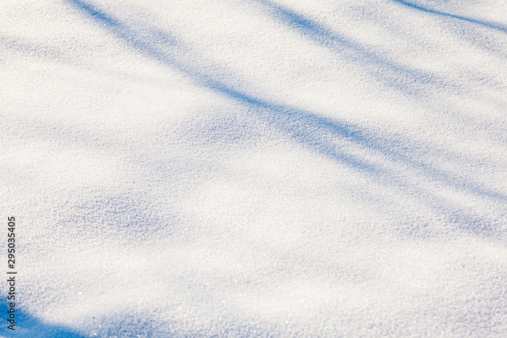 snow background with branch shadows on the frost snow background with branch shadows on the frost