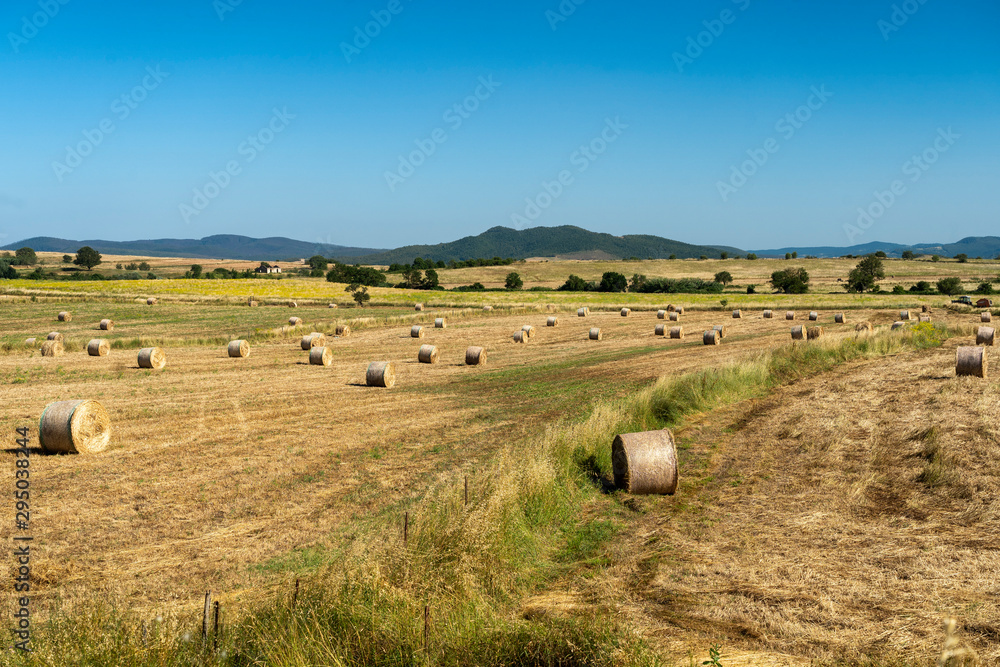 Rural landscape near Tuscania, Lazio