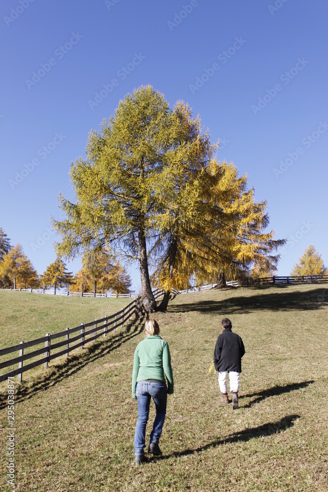 Wanderweg in Südtirol