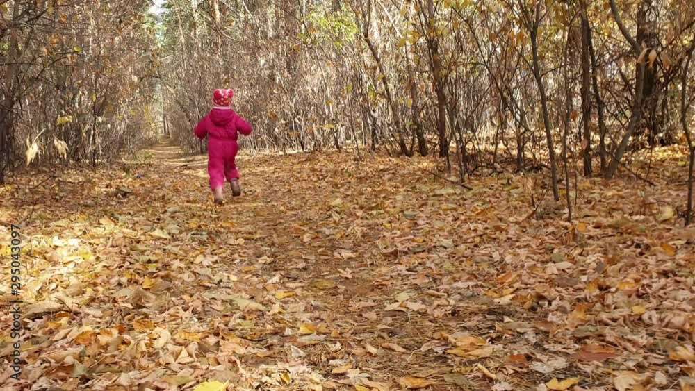 a little girl runs through the autumn Sunny Park a little girl runs through the autumn Sunny Park