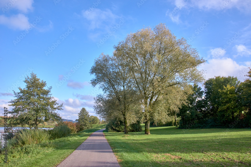 walking path in the park