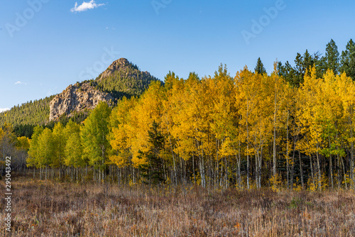 Fall Foliage In Golden Gate State Park, Golden Colorado