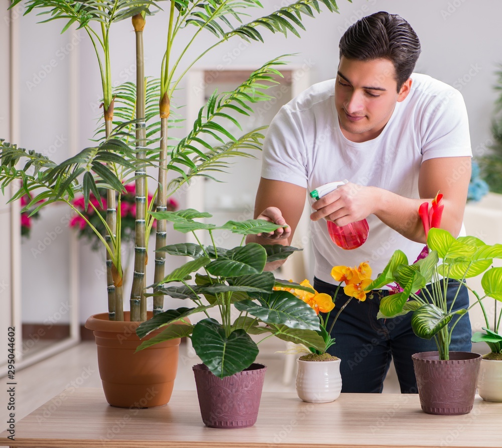 Young man in gardening concept at home Young man in gardening concept at home