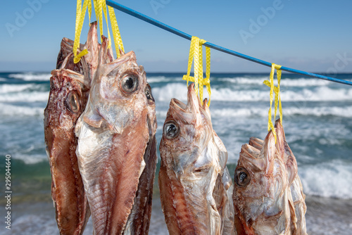 fish drying in the sea wind on the beach. photo