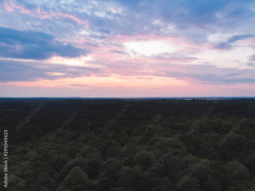 Drone shot of the Oxshott, Surrey woodlands at sunrise. Beautiful golden light with hiking trails through the dense trees. 