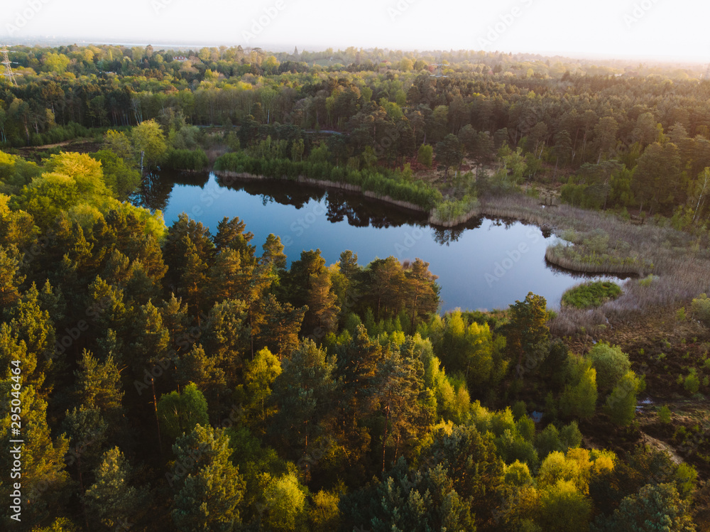 Drone shot of the Oxshott, Surrey woodlands at sunrise. Beautiful golden light with hiking trails through the dense trees. Drone shot of the Oxshott, Surrey woodlands at sunrise. Beautiful golden light with hiking trails through the dense trees.