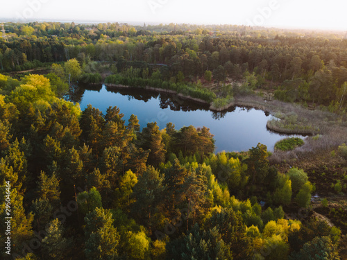 Drone shot of the Oxshott, Surrey woodlands at sunrise. Beautiful golden light with hiking trails through the dense trees. 