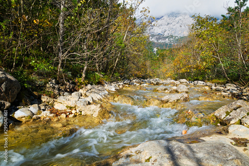 Stream in autumn, Paklenica National Park, Croatia