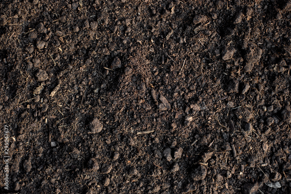 Fertile loam soil suitable for planting, soil texture background. Stock