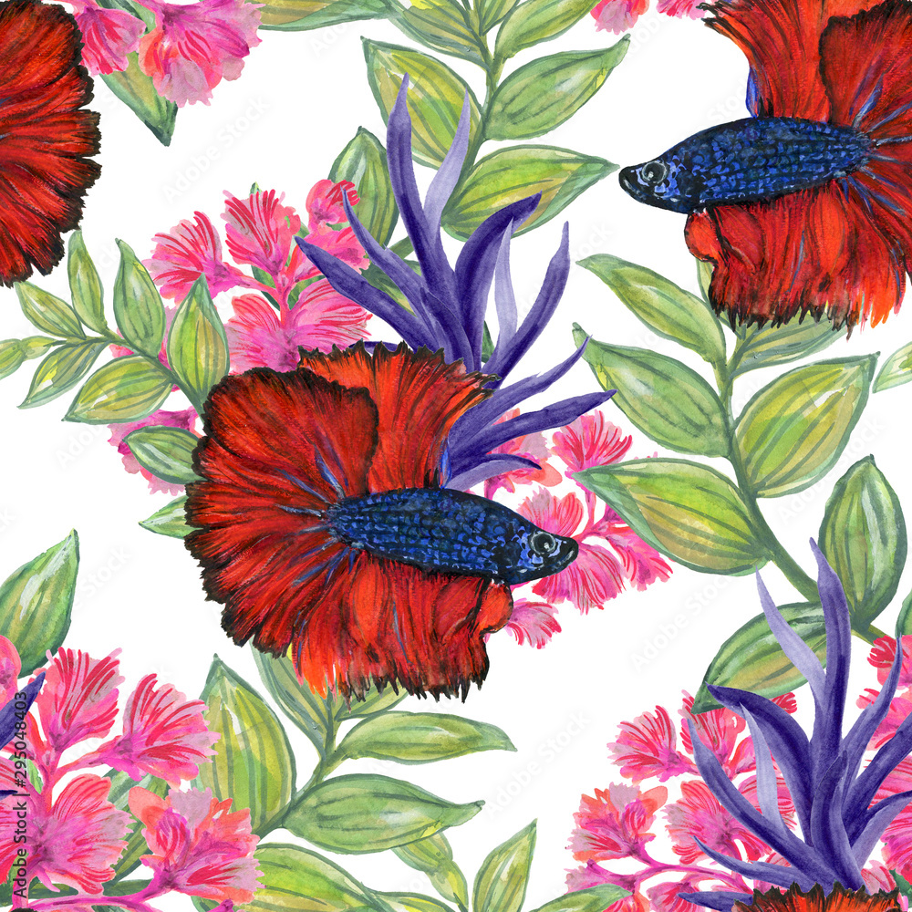 Watercolor Betta fish siamese fighting fish and chinese fighting fish