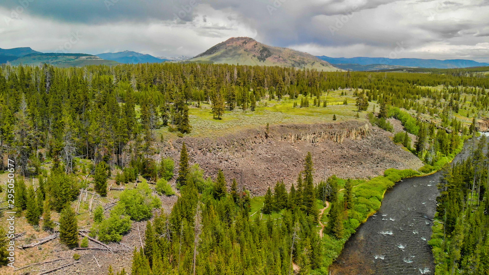 Aerial view of Yellowstone River and Forest in summer season, Wyoming