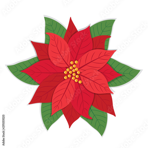 Poinsettia flowers isolated icon for Christmas or New Year greeting card design. vector illustration