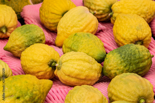 Citrons, the centerpiece fruit of the Four Species of the Sukkot Festival,  for sale in Jerusalem's Machane Yehuda outdoor market.