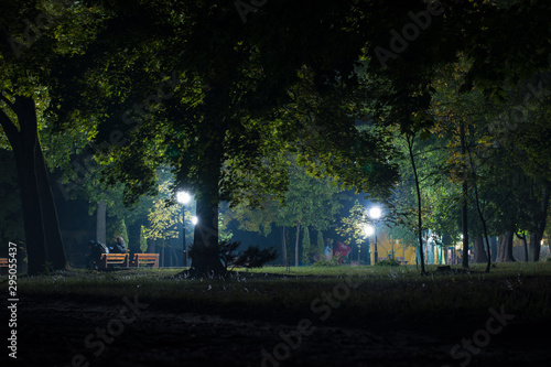 Night in the park