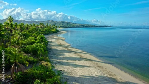 Aerial view of tropical beach with palm trees in Philippines