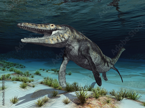 Картината върху платно Mosasaurier Tylosaurus