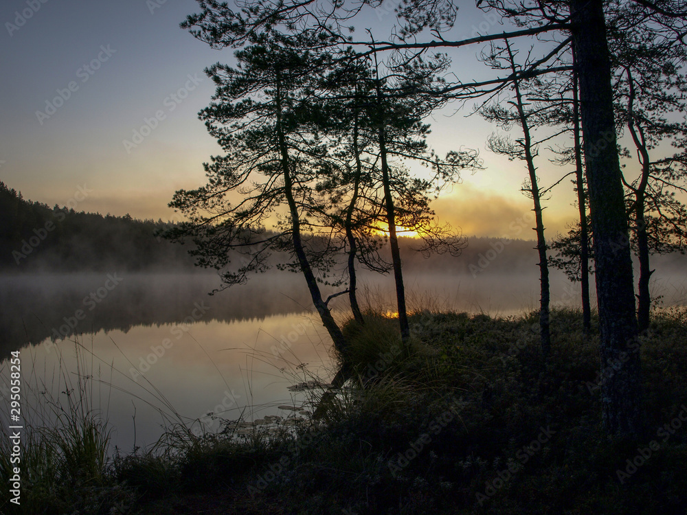 beautiful mist on the lake, dark tree silhouettes, sunset on the forest lake beautiful mist on the lake, dark tree silhouettes, sunset on the forest lake