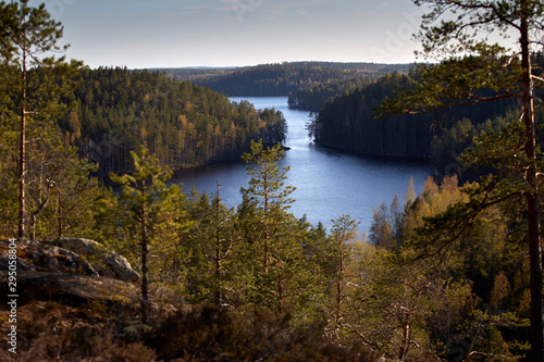 panorama of blue lake and green forest on a sunny summer day. Finland.
