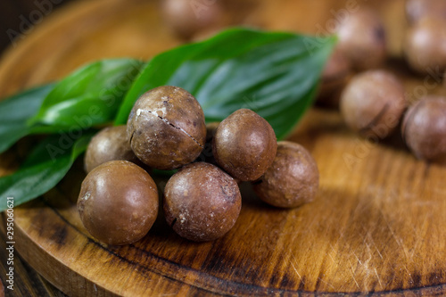 Fresh and ripe macadamiya n...