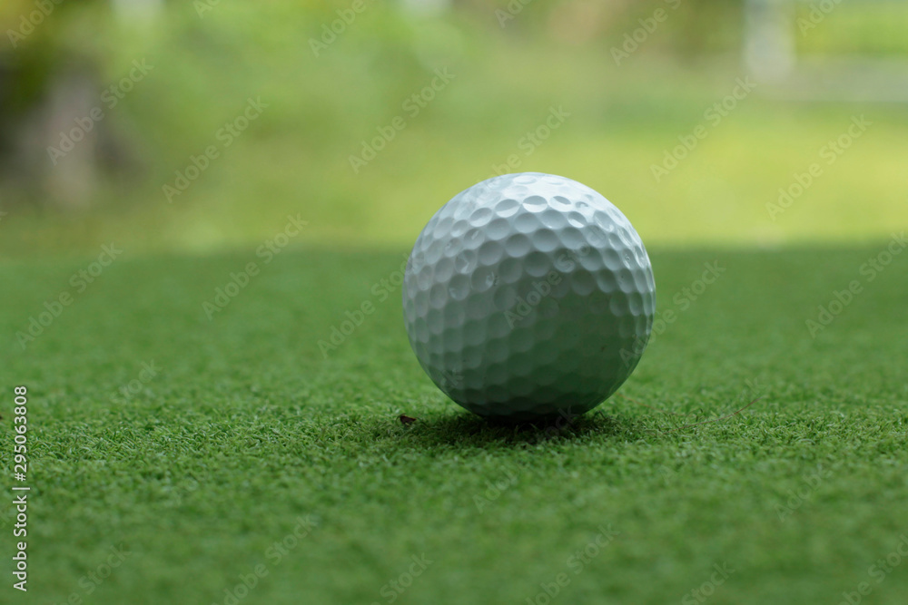 Golf ball on green grass in the evening golf course Golf ball on green grass in the evening golf course