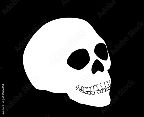 White human skull isolated on black background, vector eps 10