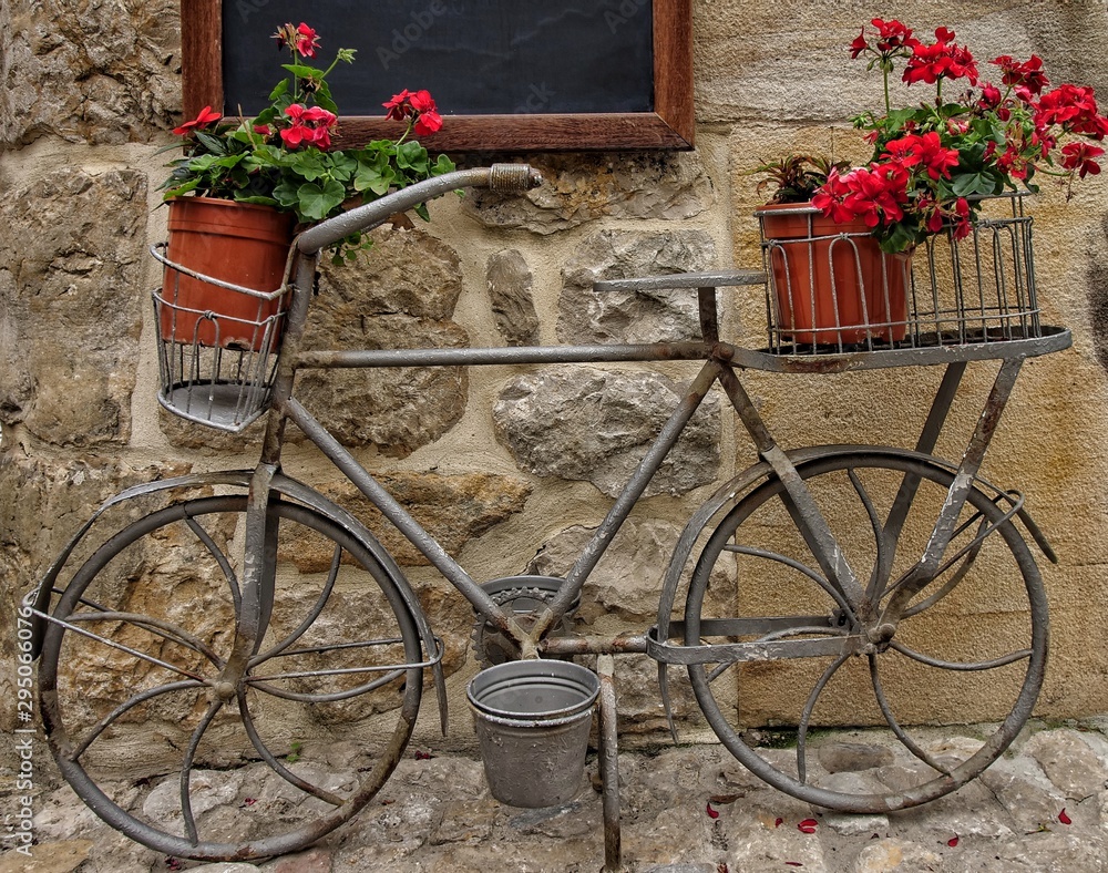 jardin y bicicleta