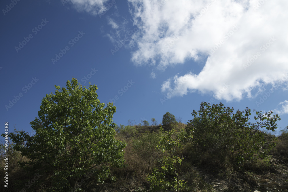 Trees on the Hill and Blue Sky with White Clouds in Brazil