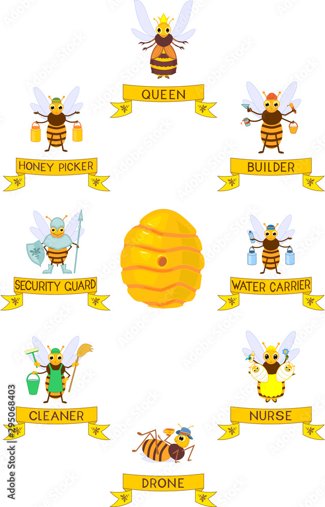 Set of different cartoon bee social castes with titles isolated on white background Set of different cartoon bee social castes with titles isolated on white background