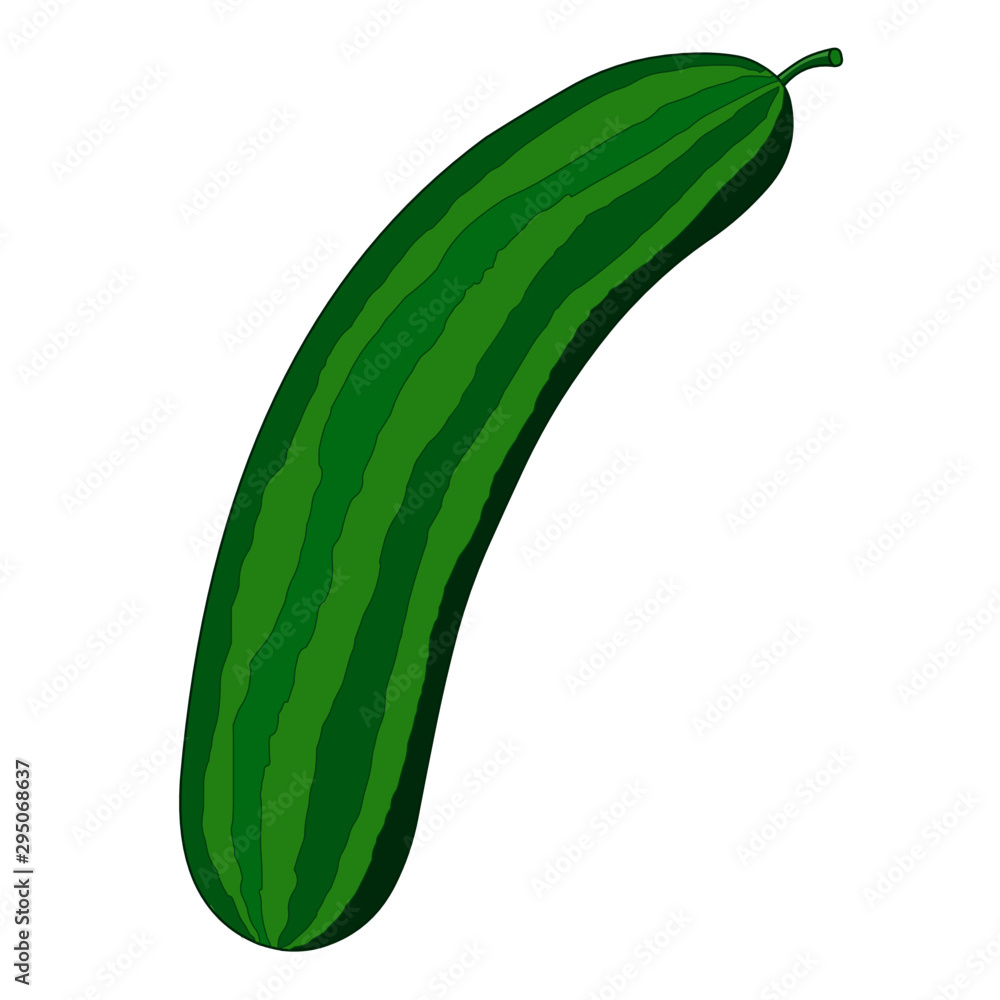 Juicy Green Cucumber - Cartoon Vector Image Stock Vector | Adobe Stock