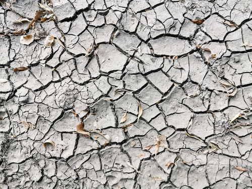 The cracks texture white and black. Cracked earth. Structure of cracking. Cracks in dry surface soil texture. shards