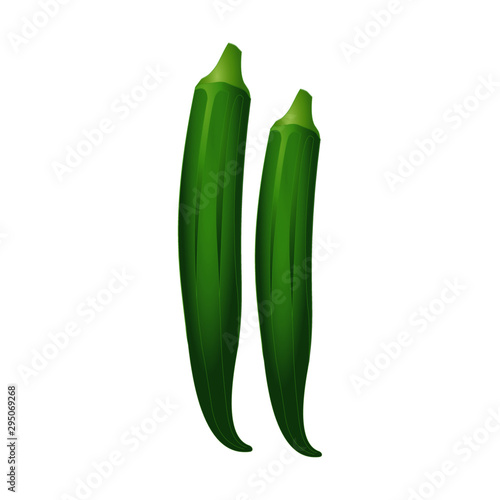 Two Green Lady's Fingers - Cartoon Vector Image