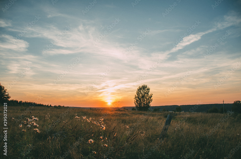 honey fiery sunset in the field honey fiery sunset in the field