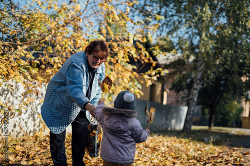 Granny and toddler baby collecting yellow leaves outdoors in a asunny autumn day. Copy space photo