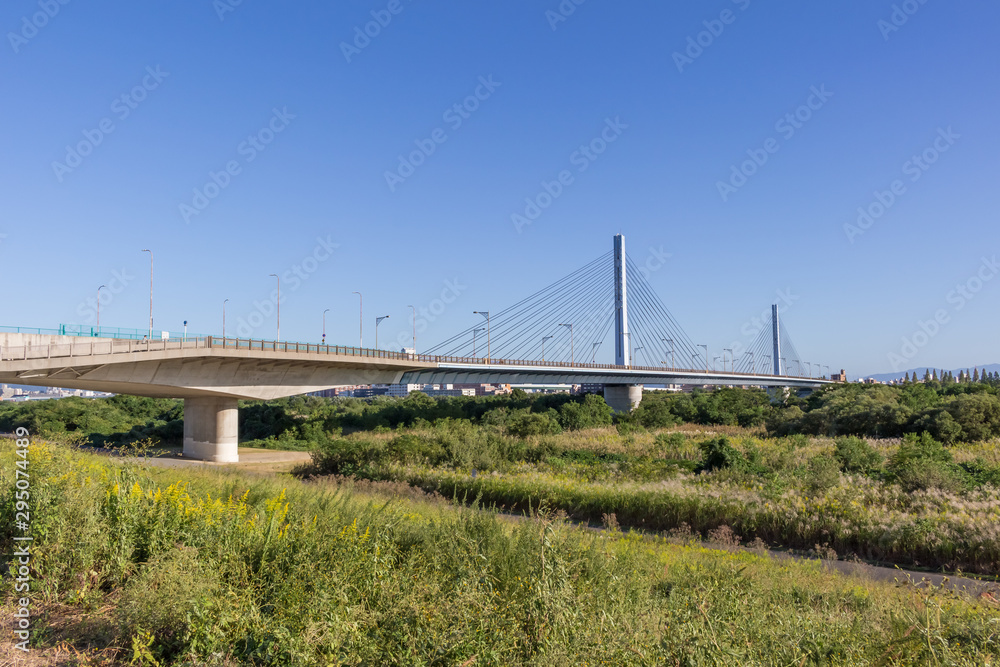 Fototapeta premium 淀川右岸の下流から見た菅原城北大橋(2019年10月)