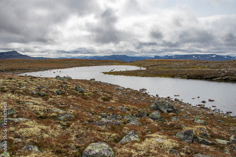 Landschaft Aurlandsfjell in Norwegen 3