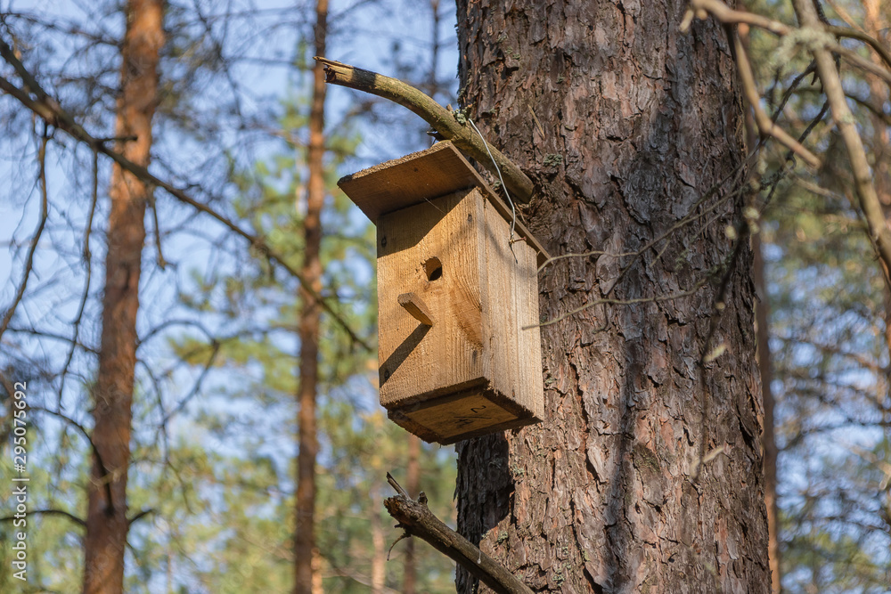New wooden birdhouse on a tree for forest birds in the forest New wooden birdhouse on a tree for forest birds in the forest