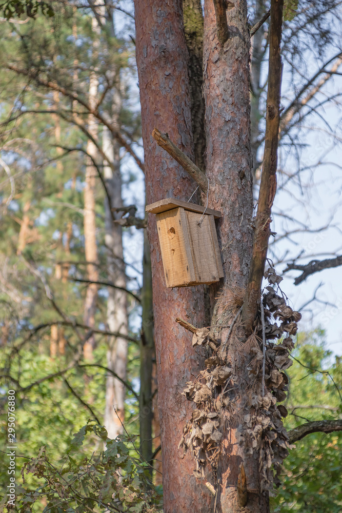 New wooden birdhouse on a tree for forest birds in the forest New wooden birdhouse on a tree for forest birds in the forest