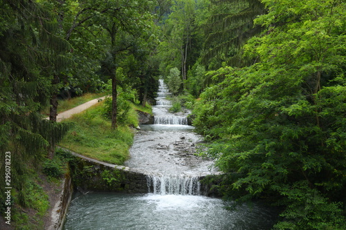 Water flows into a green forest