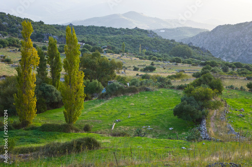 Benaocaz. Sierra de Cadiz. Ruta Pueblos Blancos. Provincia Cadiz. Andalucia. España photo