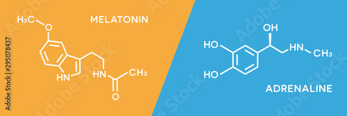 Melatonin and adrenaline hormone symbols. Human body hormones molecular chemical formula. photo