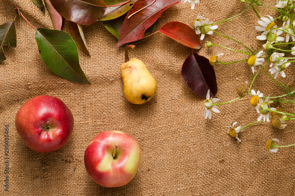 RRed apples, yellow pear. Autumn bright leaves and wild daisy on a rough cloth.
